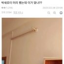 겔러리헤어 이미지