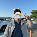 엔씨파크주유소 | [20240517] 삼성라이온즈파크 한화vs삼성 원정 직관 후기(1-2구역 10열/주차장)