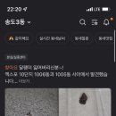 정환목장 이미지