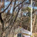 조견사우 이미지