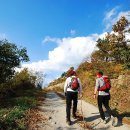 대산 태권도장 이미지