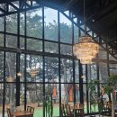 보령북로 | [보령] 브런치카페 소미안, 세계 3대 요리학교 르꼬르동블루 쉐프 맛집 후기