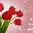 솔레미오 이미지