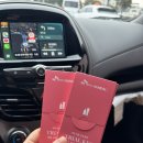 화신카냉동정비 | 250312 제주 당일치기 여행 - 유채꽃 명소 몸국 보말칼국수 고사리육개장 에그타르트