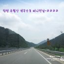 추월산우리별장 | 계곡추천,추월산계곡,담양추월산,우리별펜션 여름휴가는추월산계곡에서...
