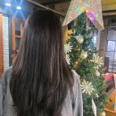 현대오피스&메디칼 | 운정 매트브라운염색 아이디헤어 운정목동점 고은 수석실장