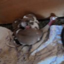 솔비농장 이미지