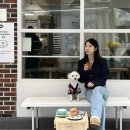 퀸즈베리도넛하우스(Queensberry Donut House) 이미지