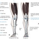 홍제한의원 이미지