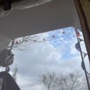 골체오름캠핑 이미지