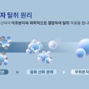 에코에어