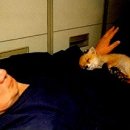 진선동물병원 이미지