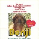 벤지애견 이미지