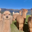 방실농장 이미지