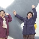 삼포경로당 이미지