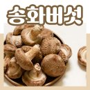 송화