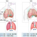 건강 지키는 올바른 호흡법 이미지