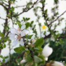 한국지엠 대구북구바로서비스 이미지