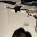 성아유치원 | 25년 6월 일상