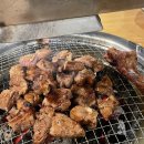 그대를봄마음의봄매일봄봄