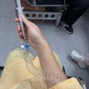 충남대학교병원 | 담낭제거술 후기(대전 충남대학교 병원)