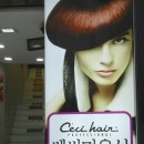 쎄씨미용실 이미지
