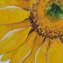 수채화 일러스트 이미지