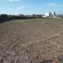 금성리 노인회관 이미지