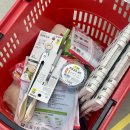 1289 | 2026 평창송어축제 얼음 낚시 이틀 연속 방문 후기