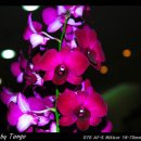 메디파크 이미지