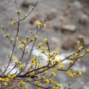 월계(회관)마을회관 이미지