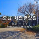 [충남/금산/자연휴양림]대둔산자연휴양림(대둔산케이블카 근처 휴양림)