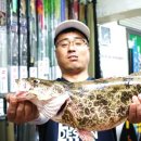 곡소 Daum카페