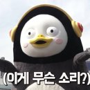 엔원 이미지