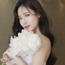 소유필름 - 안성시 벚꽃길 36 | 소유필름