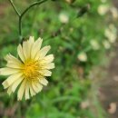 길마행정사 사무소 이미지