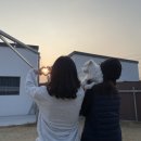 개인공간 애견펜션 이미지