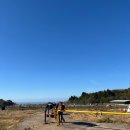 월드토이 | 아이랑 제주도 신화월드 근처 승마 체험하기 토이승마장 내돈내산 솔직 후기