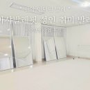 성인발레핏(야) | [안양 인덕원 발레] 마샤발레핏 성인 취미 발레핏 수업후기