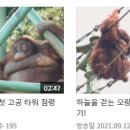 약수동농장 이미지