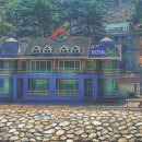 로얄트리 이미지