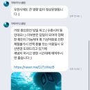 (주)리더스 | 제주 국제리더스클럽 씨워킹 후기🐠🐟🐋🦈🪼 체크리스트/당일 준비물 알려드려요!!!!