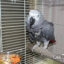 침강정 | 월요일 대청소 후기~~~