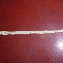 명아주 지팡이 제작 과정(아직 미완성) 이미지
