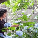 진서1농장 이미지