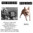 야 이미지