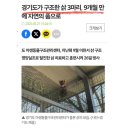 경기도야생동물구조관리센터 | 돌봄 끝에 다시 자연으로 돌아간 삵 이야기 : 경기도야생동물구조관리센터 : 야생동물 구조 리포트 🎤