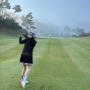 7아이언 | 실제 라운딩에서 확인한 데이비드 7세대 우디아이언 후기(페어웨이우드추천)