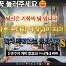 신세계유흥주점 이미지