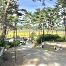 무창포솔원캠핑장 이미지